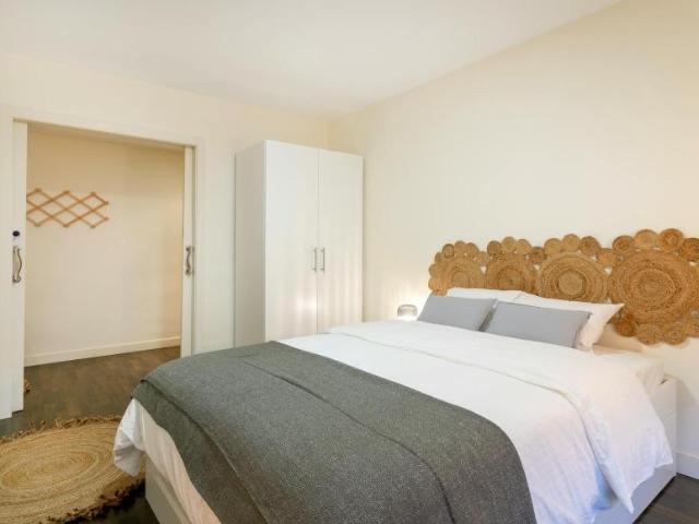 Alquiler 1 Dormitorio Shared Living/Roommate Alicante Alicante DS102852804