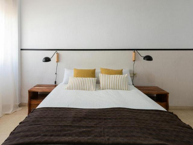 Alquiler 1 Dormitorio Shared Living/Roommate Alicante Alicante DS102853710