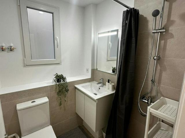 Alquiler 1 Dormitorio Shared Living/Roommate Alicante Alicante DS102953029