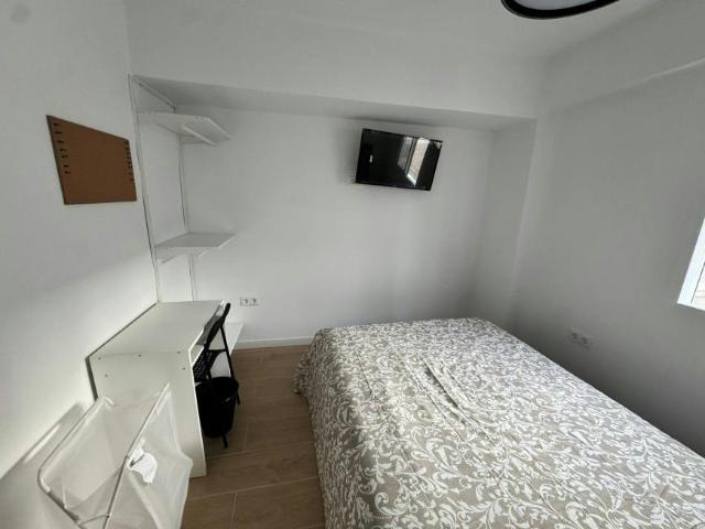 Alquiler 1 Dormitorio Shared Living/Roommate Alicante Alicante DS103031689