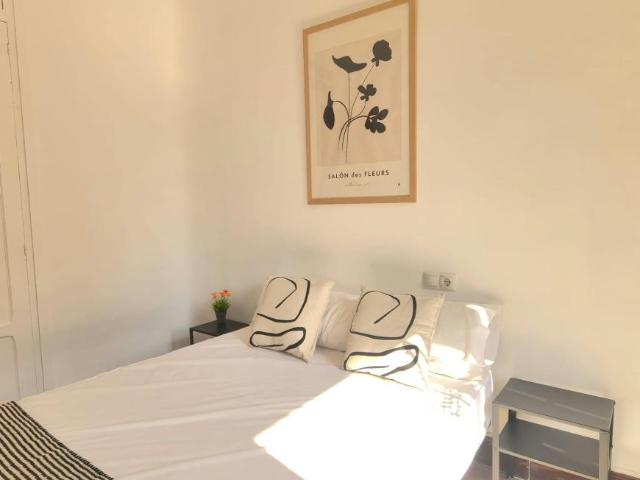 Alquiler 1 Dormitorio Shared Living/Roommate Alicante Alicante DS103061866