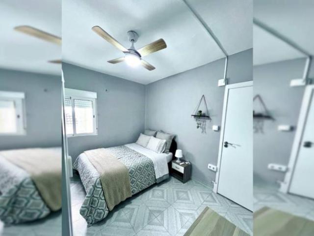 Alquiler 1 Dormitorio Shared Living/Roommate Alicante Alicante DS103094141