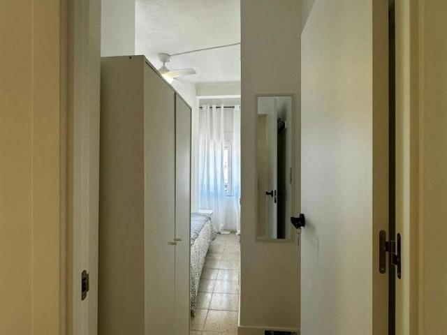 Alquiler 1 Dormitorio Shared Living/Roommate Alicante Alicante DS103092346