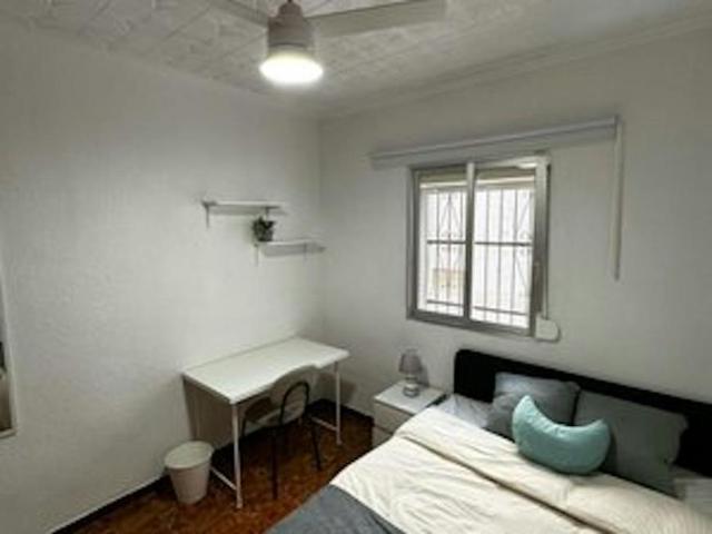 Alquiler 1 Dormitorio Shared Living/Roommate Alicante Alicante DS103092474