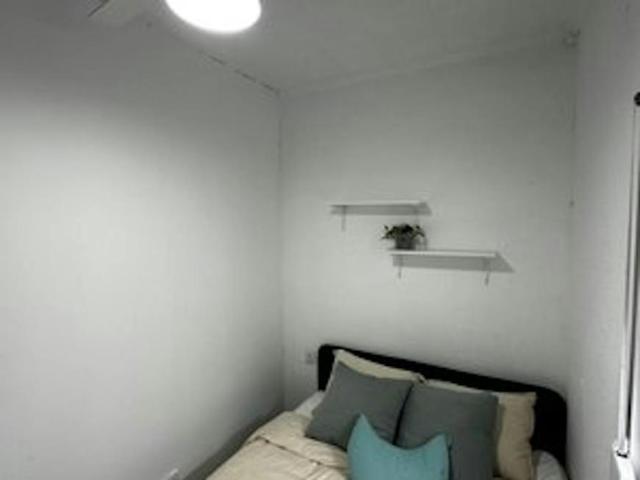 Alquiler 1 Dormitorio Shared Living/Roommate Alicante Alicante DS103092473
