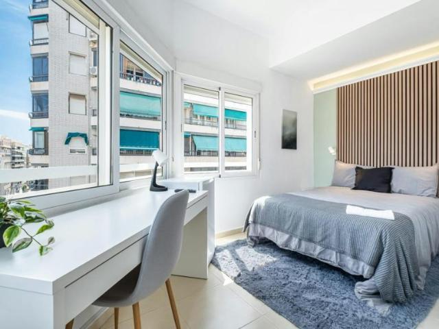 Alquiler 1 Dormitorio Shared Living/Roommate Alicante Alicante DS103119694