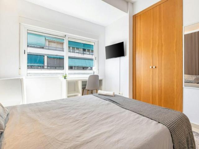 Alquiler 1 Dormitorio Shared Living/Roommate Alicante Alicante DS103119691