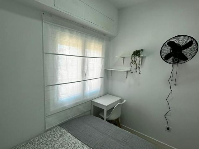 Alquiler 1 Dormitorio Shared Living/Roommate Alicante Alicante DS103152953
