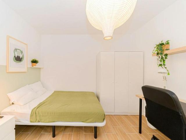 Alquiler 1 Dormitorio Shared Living/Roommate Alicante Alicante DS103324396