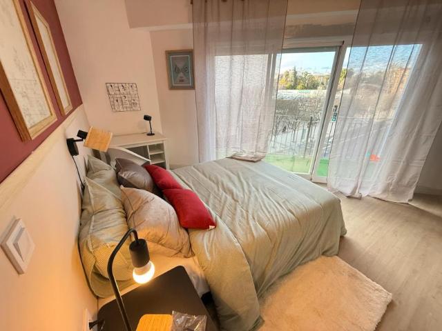 Alquiler 1 Dormitorio Shared Living/Roommate Alicante Alicante DS103372450