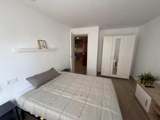 Alquiler 1 Dormitorio Shared Living/Roommate Alicante Alicante DS103396684