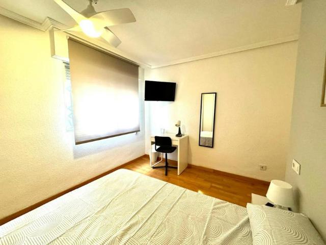 Alquiler 1 Dormitorio Shared Living/Roommate Alicante Alicante DS103396686