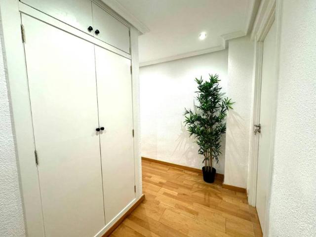 Alquiler 1 Dormitorio Shared Living/Roommate Alicante Alicante DS103396688
