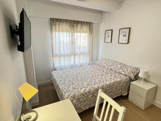 Alquiler 1 Dormitorio Shared Living/Roommate Alicante Alicante DS103396680