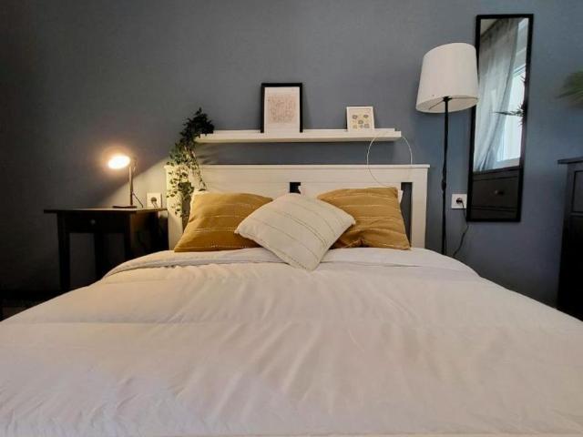 Alquiler 1 Dormitorio Shared Living/Roommate Alicante Alicante DS103396727