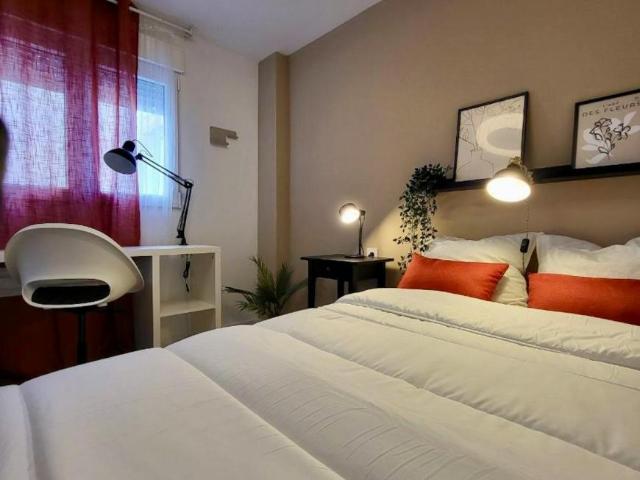 Alquiler 1 Dormitorio Shared Living/Roommate Alicante Alicante DS103396728