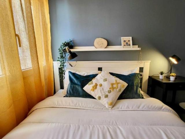 Alquiler 1 Dormitorio Shared Living/Roommate Alicante Alicante DS103396729