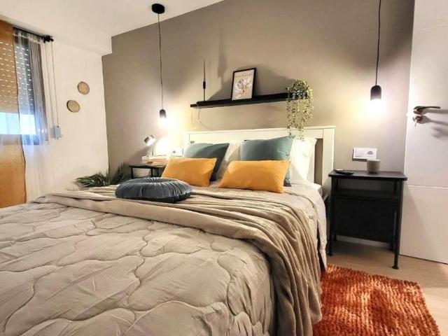 Alquiler 1 Dormitorio Shared Living/Roommate Alicante Alicante DS103396735