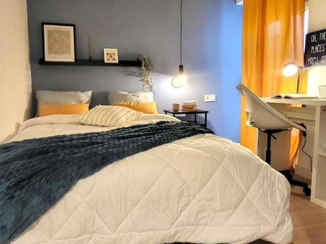 Alquiler 1 Dormitorio Shared Living/Roommate Alicante Alicante DS103396736