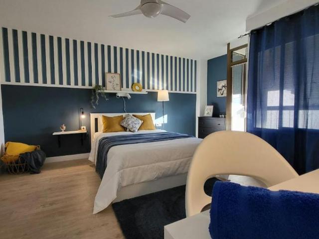 Alquiler 1 Dormitorio Shared Living/Roommate Alicante Alicante DS103396739