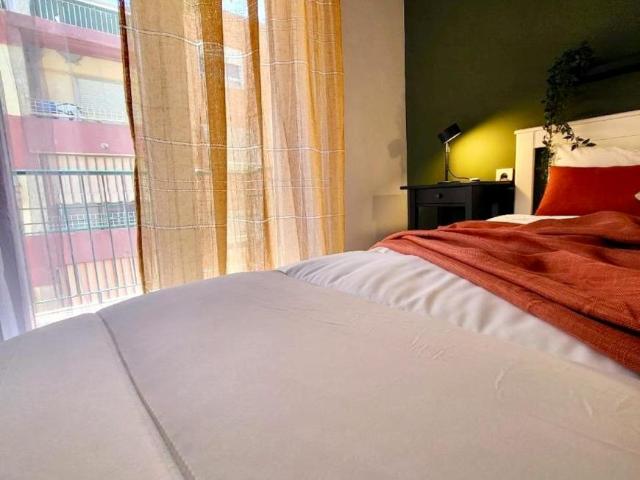 Alquiler 1 Dormitorio Shared Living/Roommate Alicante Alicante DS103396731