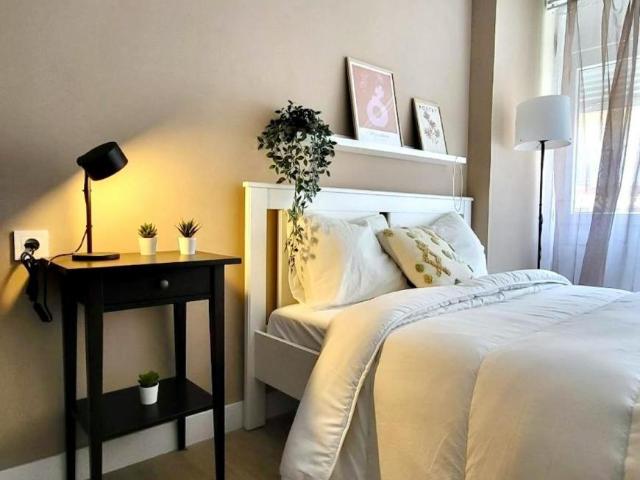 Alquiler 1 Dormitorio Shared Living/Roommate Alicante Alicante DS103396732