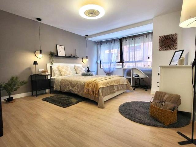 Alquiler 1 Dormitorio Shared Living/Roommate Alicante Alicante DS103396733