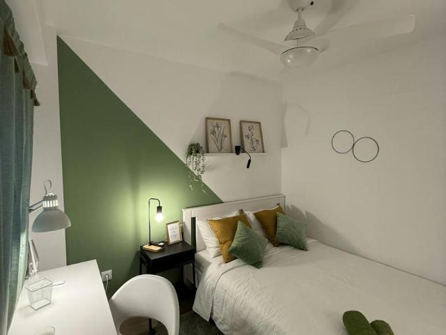 Alquiler 1 Dormitorio Shared Living/Roommate Alicante Alicante DS103396744