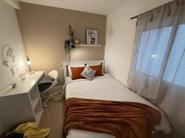 Alquiler 1 Dormitorio Shared Living/Roommate Alicante Alicante DS103396743