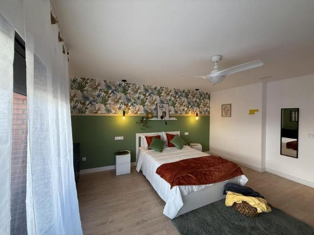 Alquiler 1 Dormitorio Shared Living/Roommate Alicante Alicante DS103396752