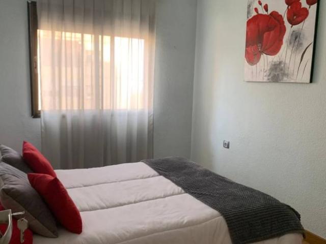Alquiler 1 Dormitorio Shared Living/Roommate Alicante Alicante DS103427807