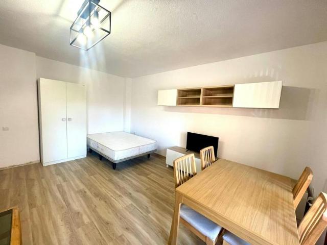 Alquiler 1 Dormitorio Shared Living/Roommate Alicante Alicante DS103488252