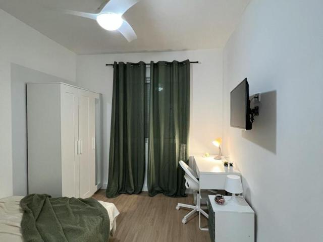 Alquiler 1 Dormitorio Shared Living/Roommate Alicante Alicante DS103579859