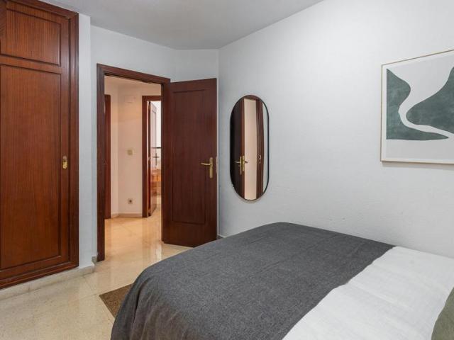 Alquiler 1 Dormitorio Shared Living/Roommate Alicante Alicante DS103595692