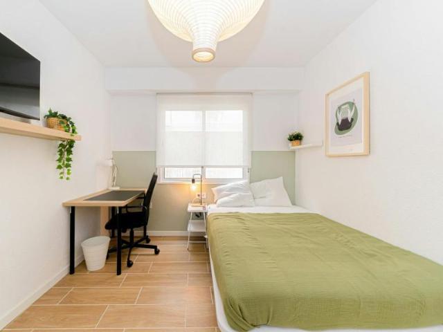Alquiler 1 Dormitorio Shared Living/Roommate Alicante Alicante DS103613123