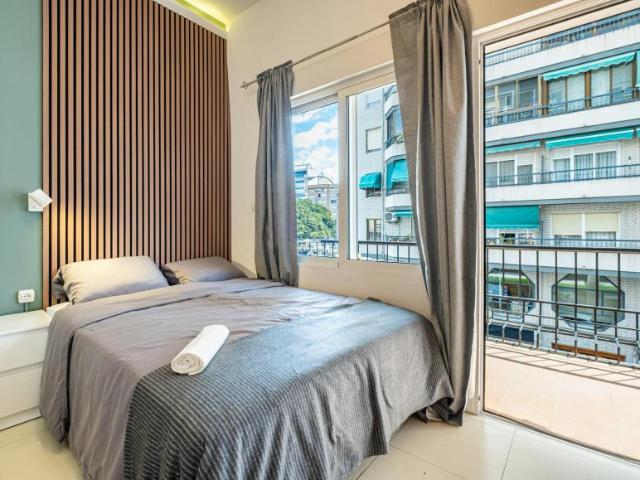 Alquiler 1 Dormitorio Shared Living/Roommate Alicante Alicante DS103654055
