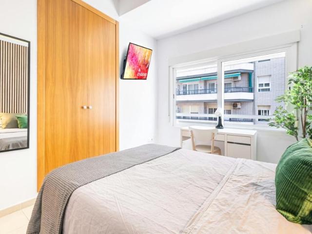 Alquiler 1 Dormitorio Shared Living/Roommate Alicante Alicante DS103654052