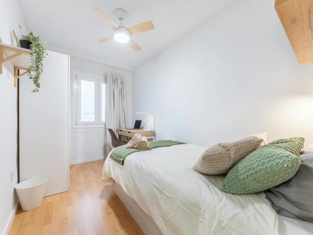 Alquiler 1 Dormitorio Shared Living/Roommate Alicante Alicante DS103654084