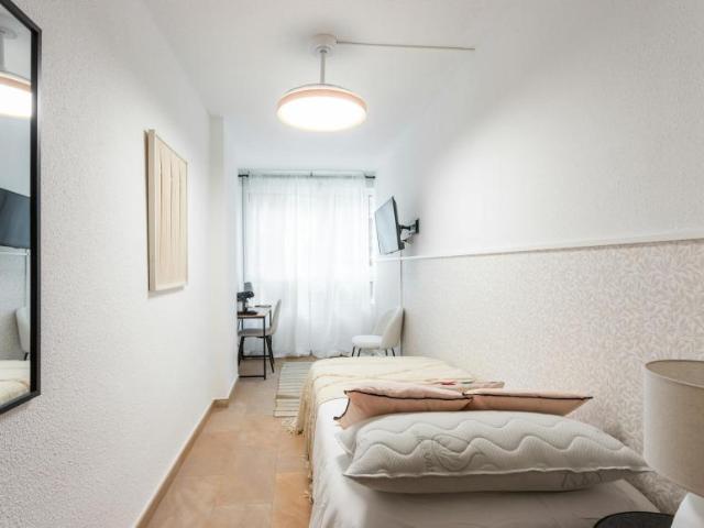 Alquiler 1 Dormitorio Shared Living/Roommate Alicante Alicante DS103655133