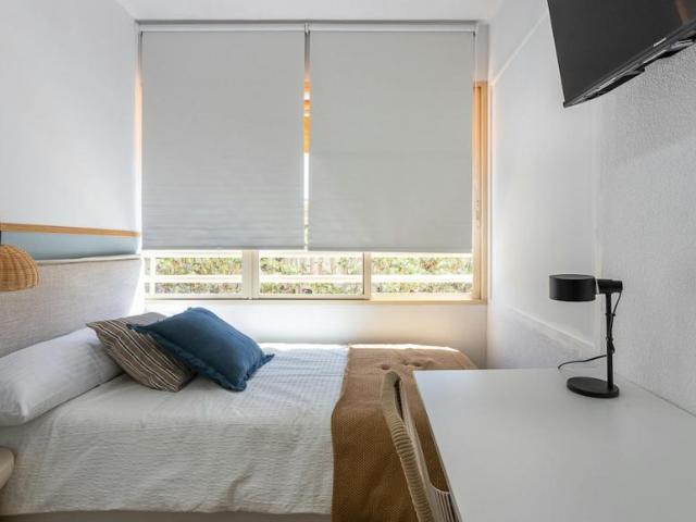 Alquiler 1 Dormitorio Shared Living/Roommate Alicante Alicante DS103655947