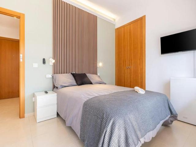 Alquiler 1 Dormitorio Shared Living/Roommate Alicante Alicante DS103922545