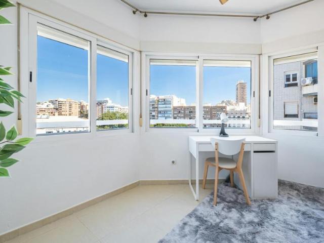 Alquiler 1 Dormitorio Shared Living/Roommate Alicante Alicante DS103959612