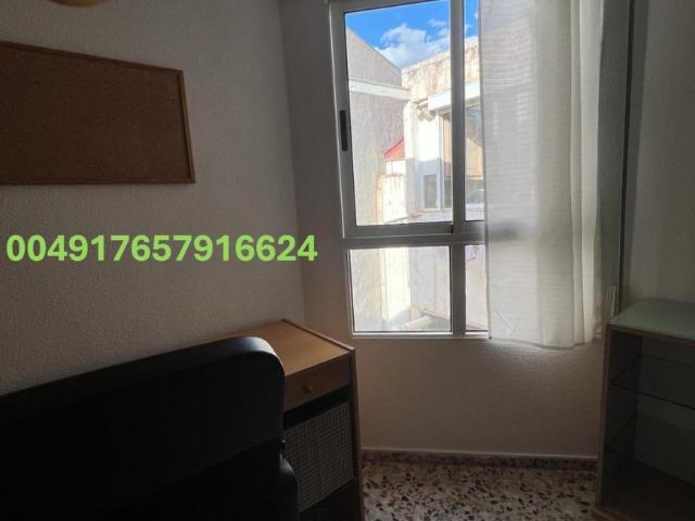 Alquiler 1 Dormitorio Shared Living/Roommate Alicante Alicante DS103961118