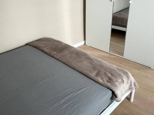 Alquiler 1 Dormitorio Shared Living/Roommate Alicante Alicante DS103962663