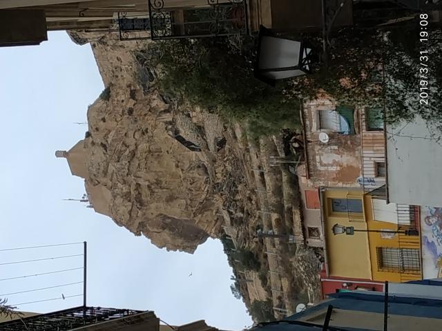 Alquiler 1 Dormitorio Shared Living/Roommate Alicante Alicante DS65784384