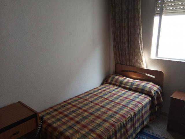 Alquiler 1 Dormitorio Shared Living/Roommate Alicante Alicante DS66928546