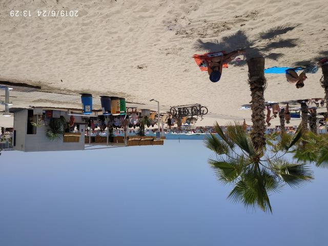 Alquiler 1 Dormitorio Shared Living/Roommate Alicante Alicante DS68489781