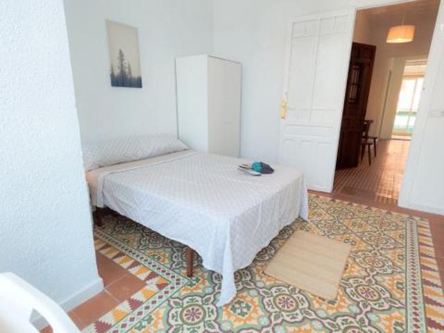 Alquiler 1 Dormitorio Shared Living/Roommate Alicante Alicante DS71931881
