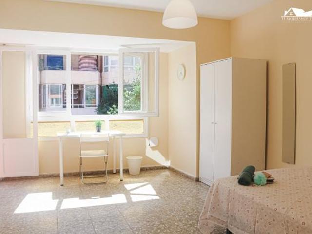 Alquiler 1 Dormitorio Shared Living/Roommate Alicante Alicante DS71931884