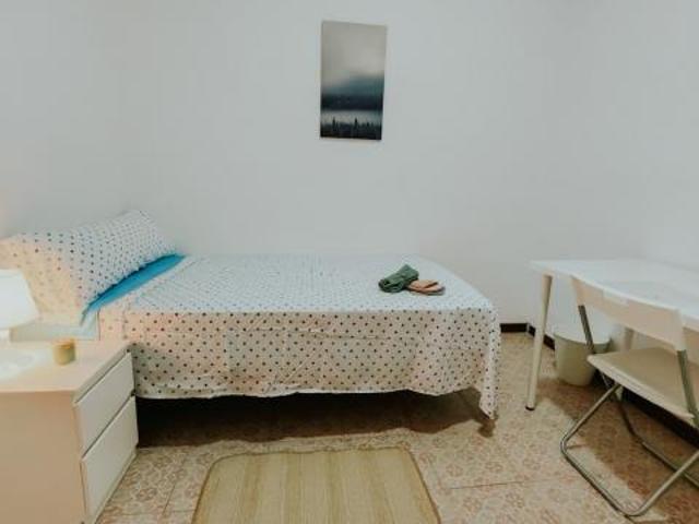 Alquiler 1 Dormitorio Shared Living/Roommate Alicante Alicante DS72382743